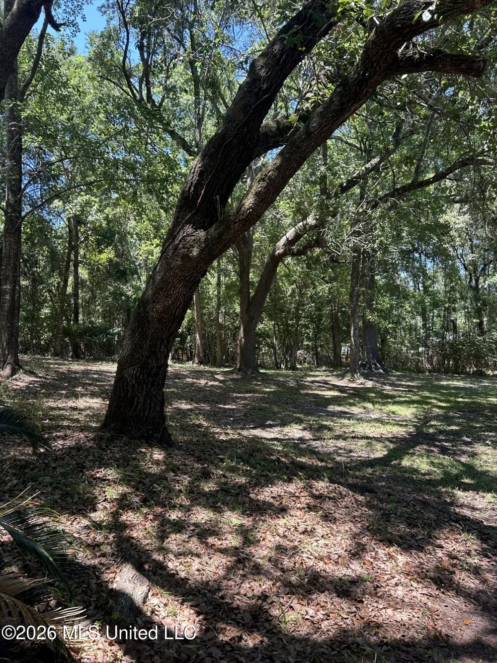 5615 Ahekolo Circle Diamondhead, MS 39525