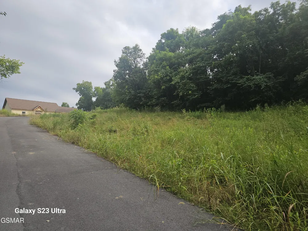0 Ivy Way Newport, TN 37821