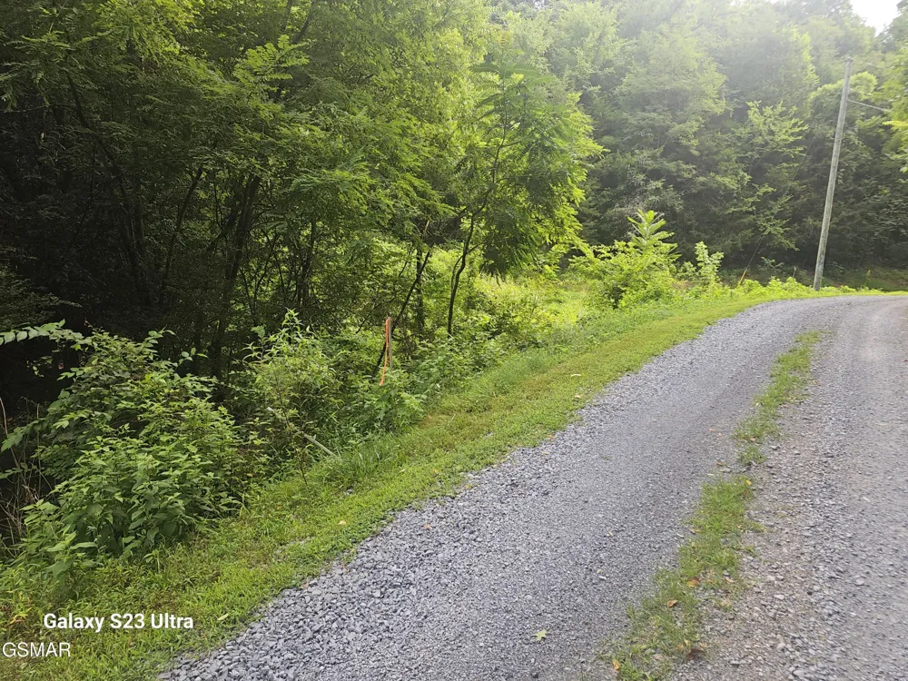 0 Ivy Way Newport, TN 37821