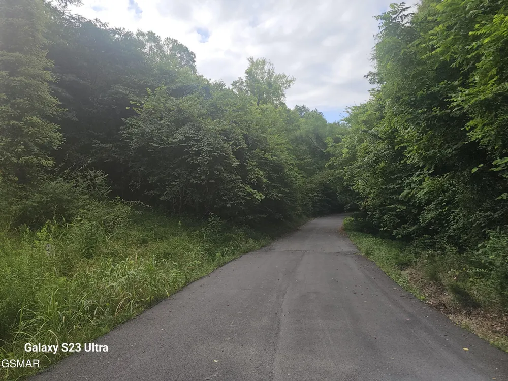 0 Ivy Way Newport, TN 37821