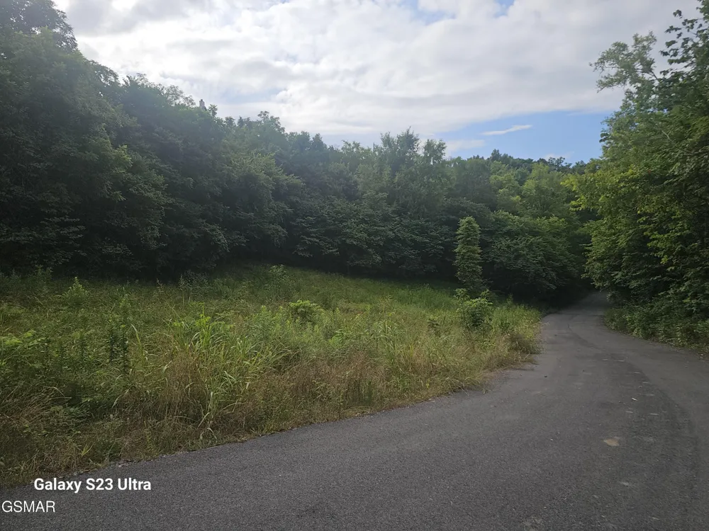 0 Ivy Way Newport, TN 37821