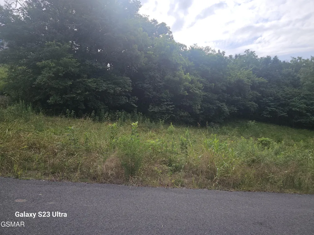 0 Ivy Way Newport, TN 37821