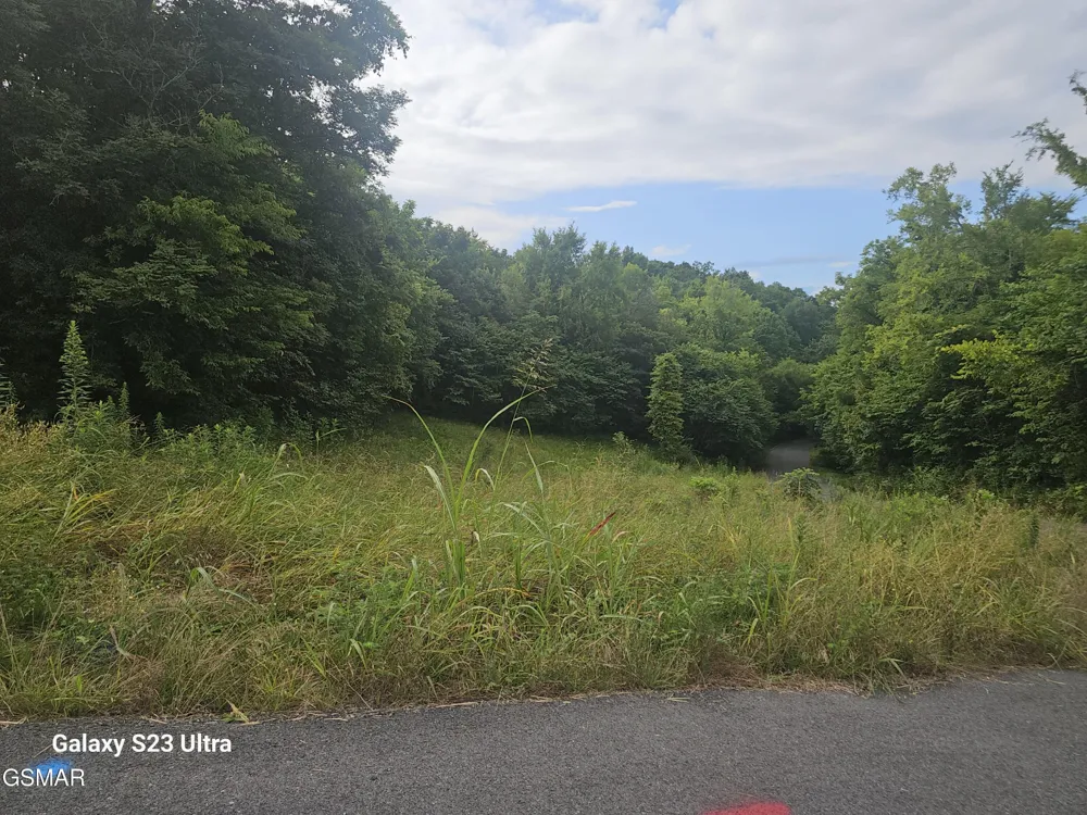 0 Ivy Way Newport, TN 37821