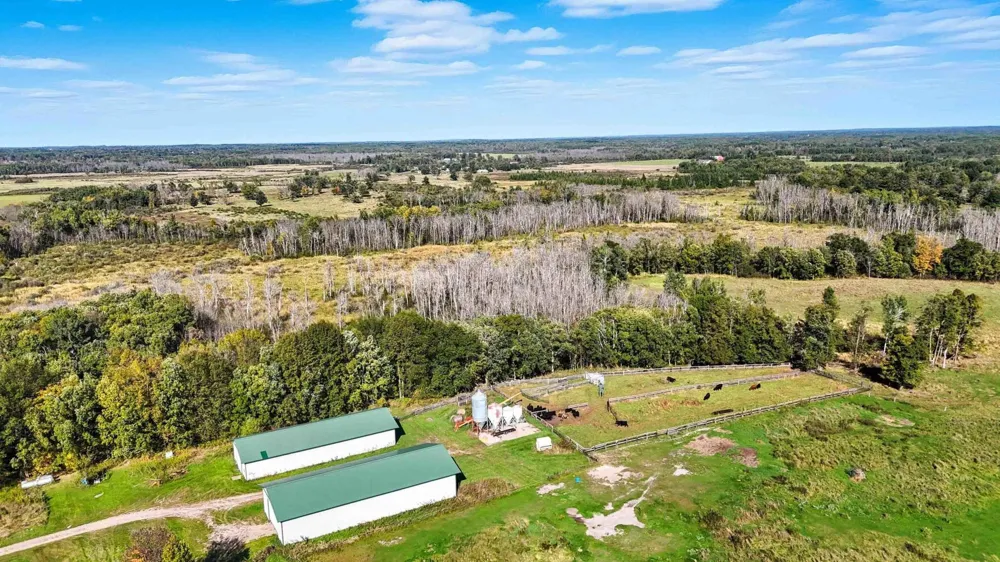 3194 Angelica Road Pequot Lakes, MN 56472