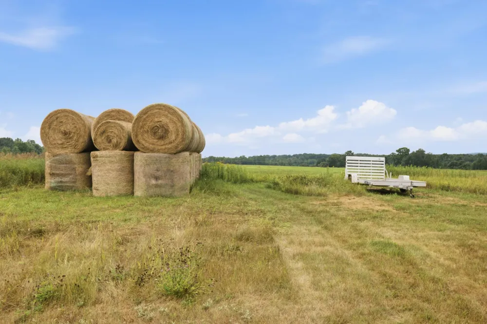 3194 Angelica Road Pequot Lakes, MN 56472