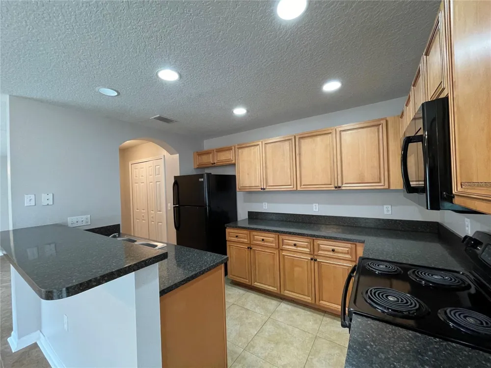 10815 GREAT CARLISLE COURT Riverview, FL 33578