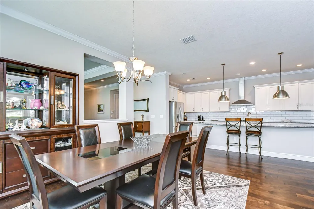 14014 SWALLOW HILL DRIVE Lithia, FL 33547