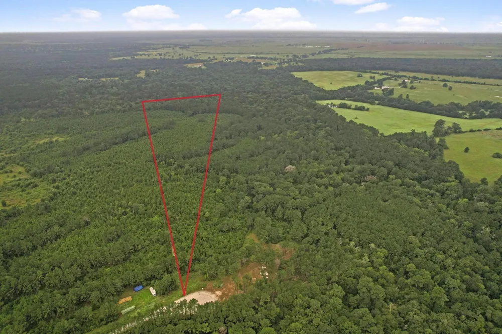 11 Fm 230 Lovelady, TX 77854