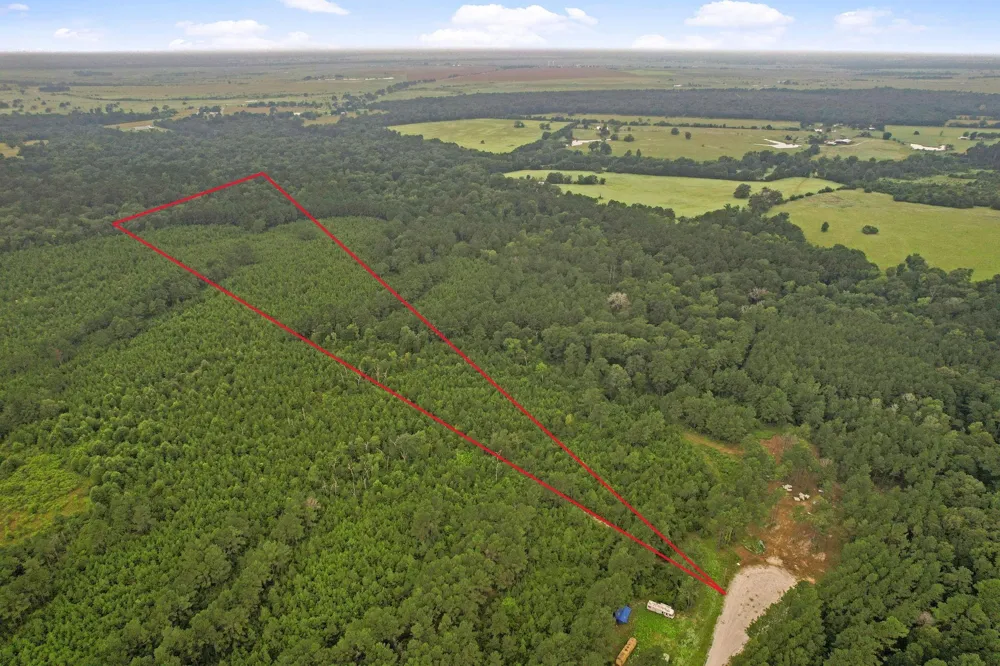 11 Fm 230 Lovelady, TX 77854