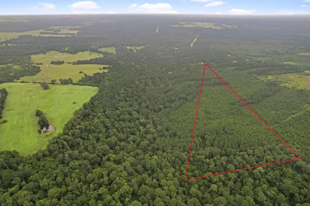 11 Fm 230 Lovelady, TX 77854