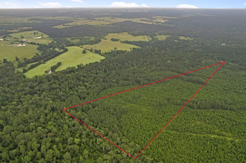 11 Fm 230 Lovelady, TX 77854