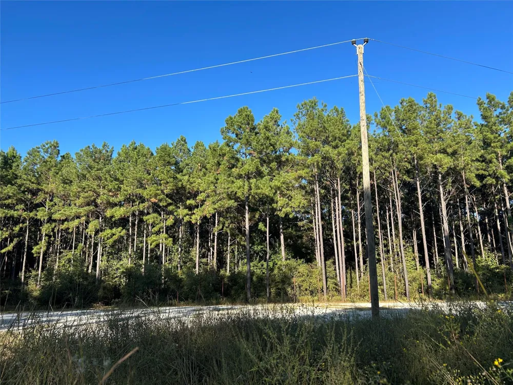 11 Fm 230 Lovelady, TX 77854
