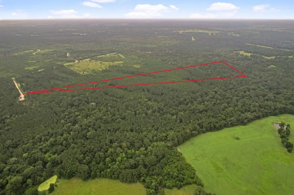 11 Fm 230 Lovelady, TX 77854