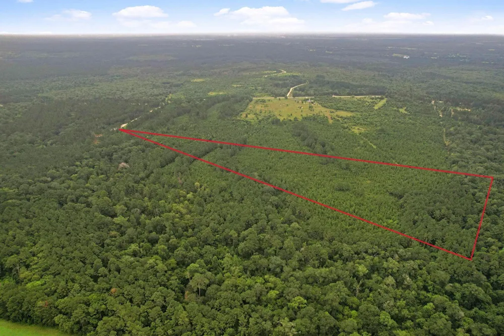 11 Fm 230 Lovelady, TX 77854