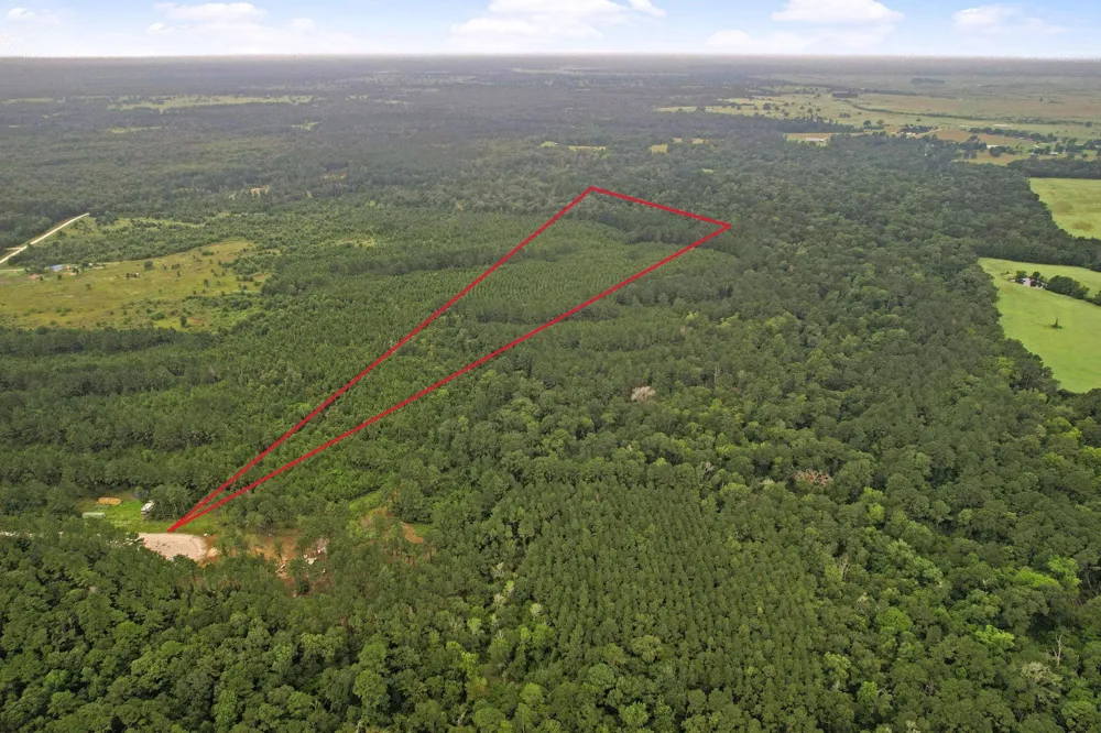 11 Fm 230 Lovelady, TX 77854