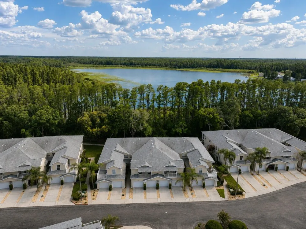 1651 HAMMOCKS AVENUE Lutz, FL 33549