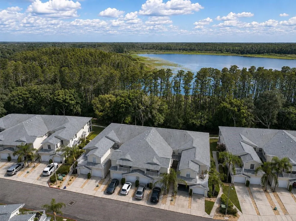 1651 HAMMOCKS AVENUE Lutz, FL 33549