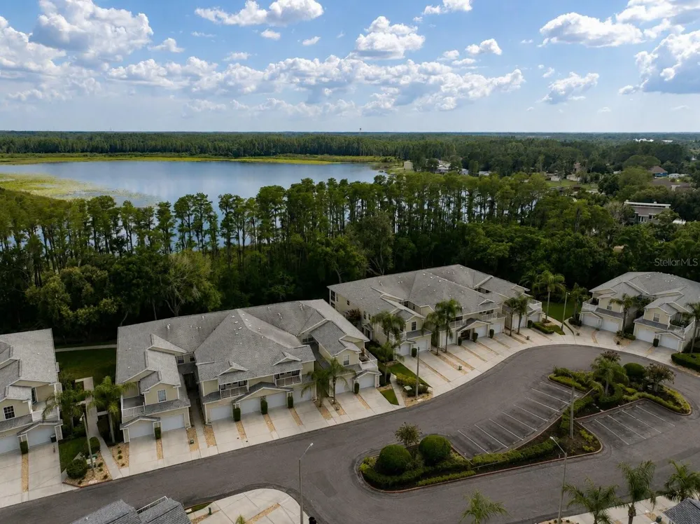 1651 HAMMOCKS AVENUE Lutz, FL 33549