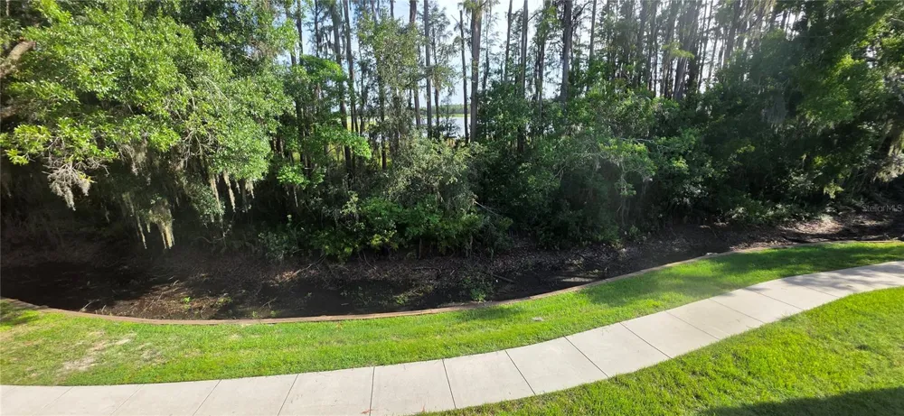 1651 HAMMOCKS AVENUE Lutz, FL 33549