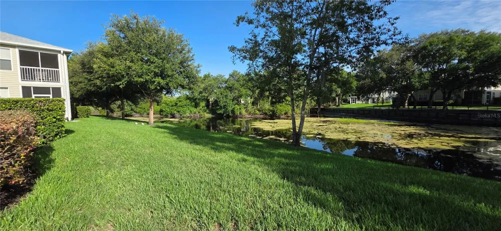 1651 HAMMOCKS AVENUE Lutz, FL 33549