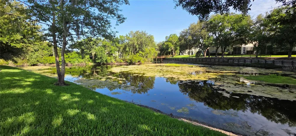 1651 HAMMOCKS AVENUE Lutz, FL 33549