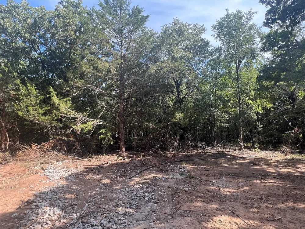 144 Mulberry Street Bowie, TX 76230