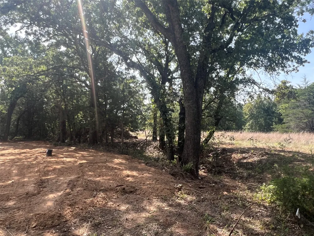 144 Mulberry Street Bowie, TX 76230