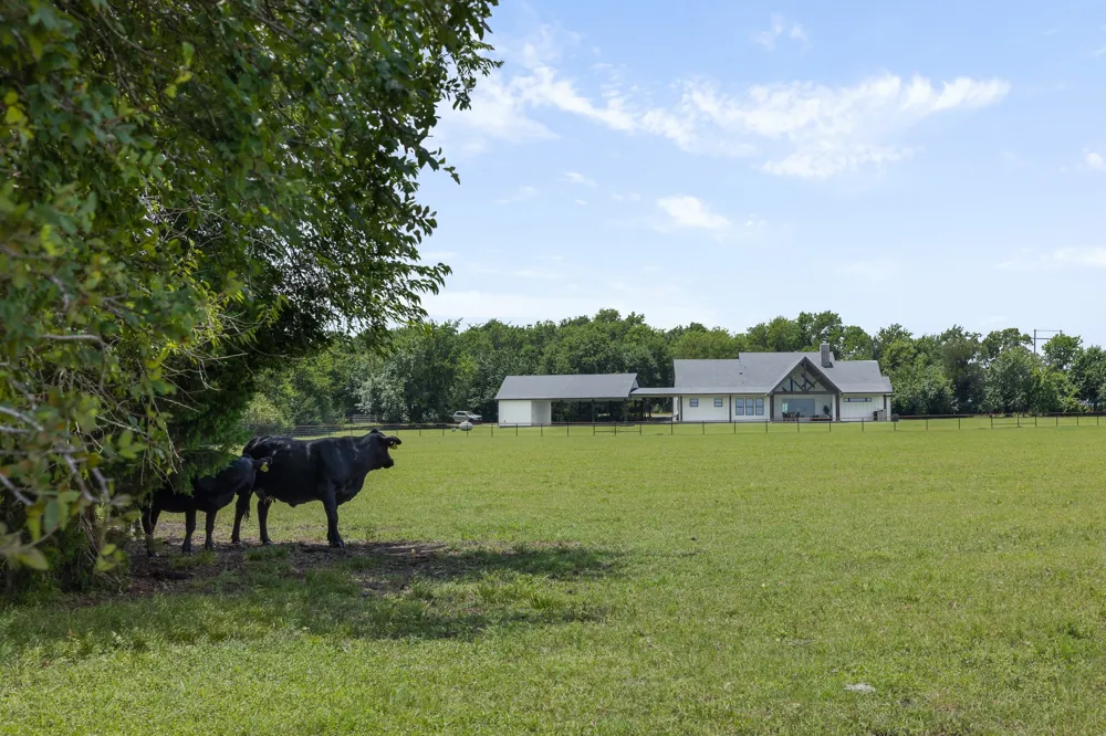 3738 Country Road 222 Anderson, TX 77830