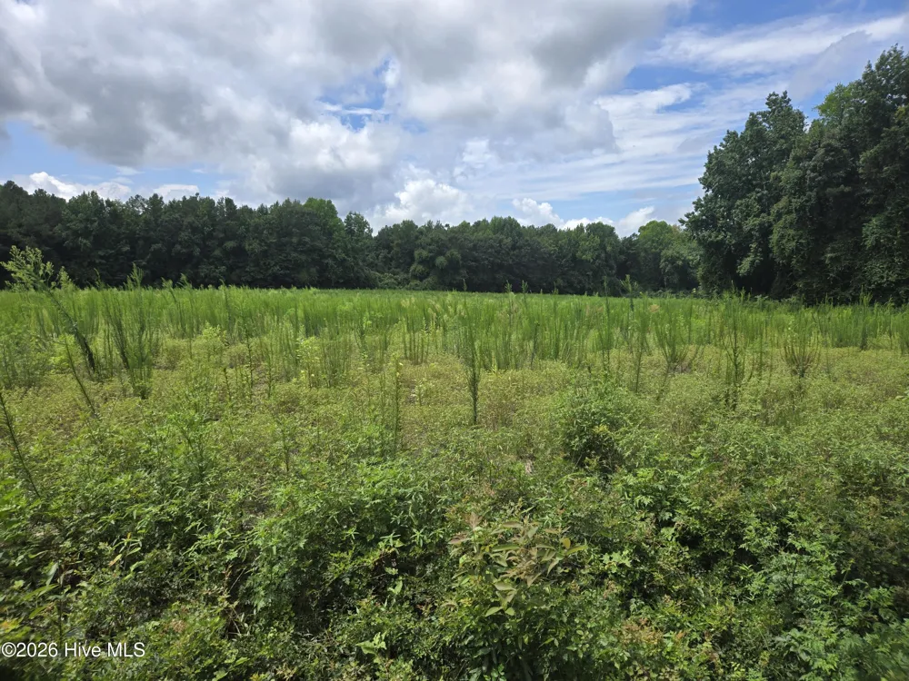 0 Ballard Road Williamston, NC 27892