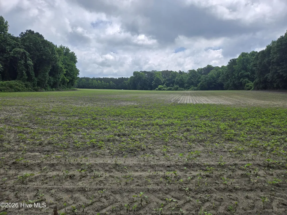 0 Ballard Road Williamston, NC 27892