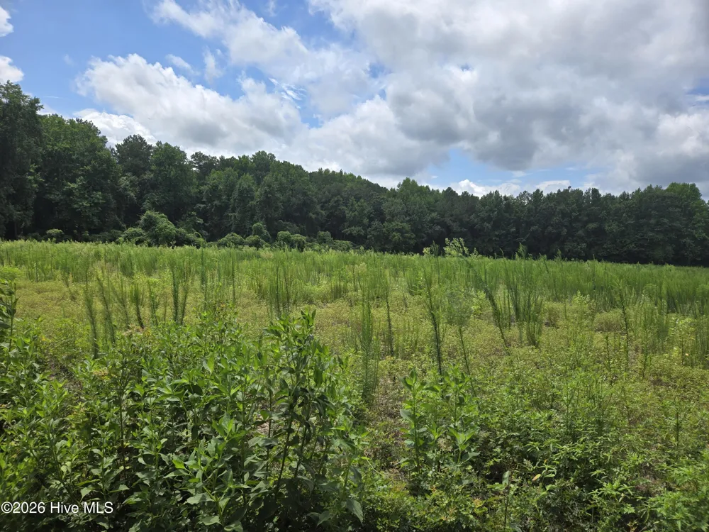0 Ballard Road Williamston, NC 27892
