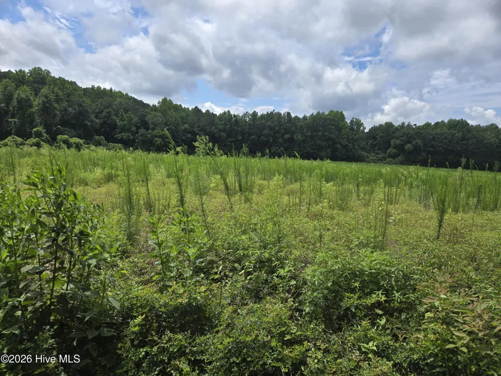 0 Ballard Road Williamston, NC 27892