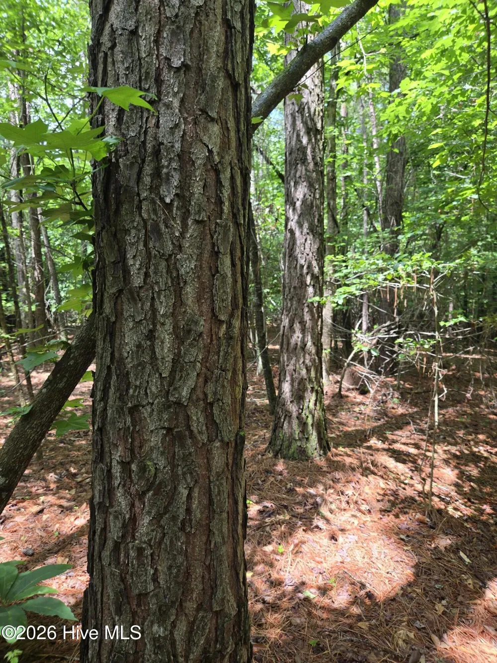 0 Ballard Road Williamston, NC 27892