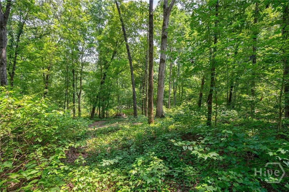 Jabez Poyner Road Carlton, GA 30627