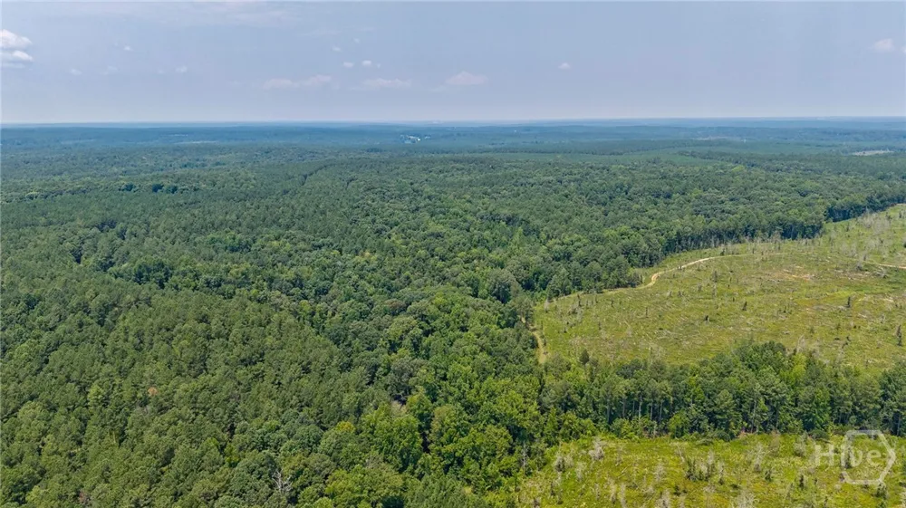 Jabez Poyner Road Carlton, GA 30627