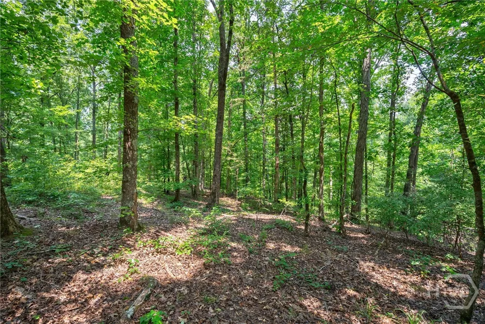 Jabez Poyner Road Carlton, GA 30627