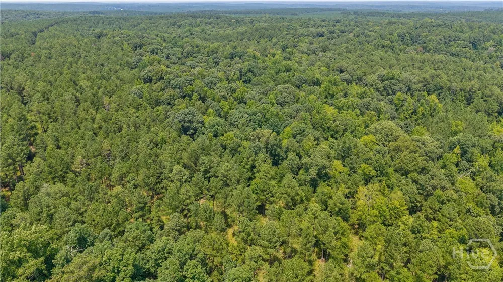 Jabez Poyner Road Carlton, GA 30627