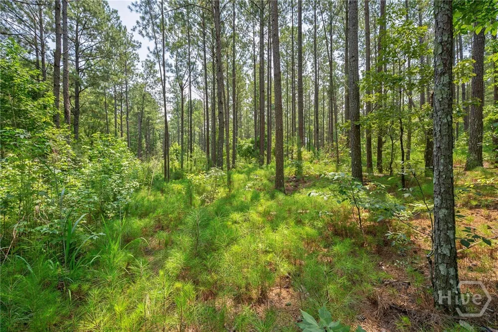 Jabez Poyner Road Carlton, GA 30627