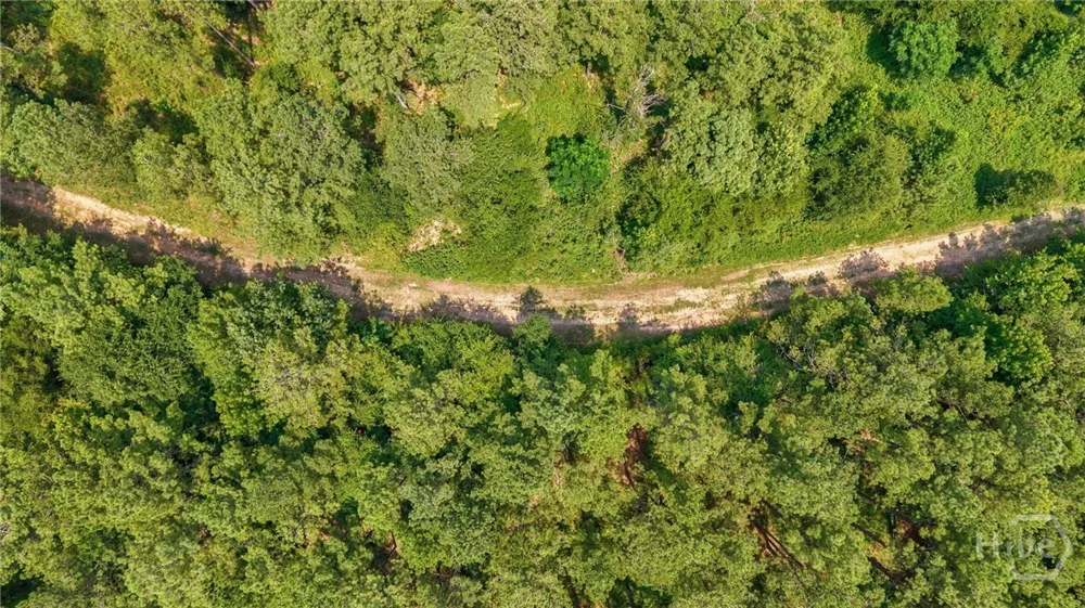 Jabez Poyner Road Carlton, GA 30627