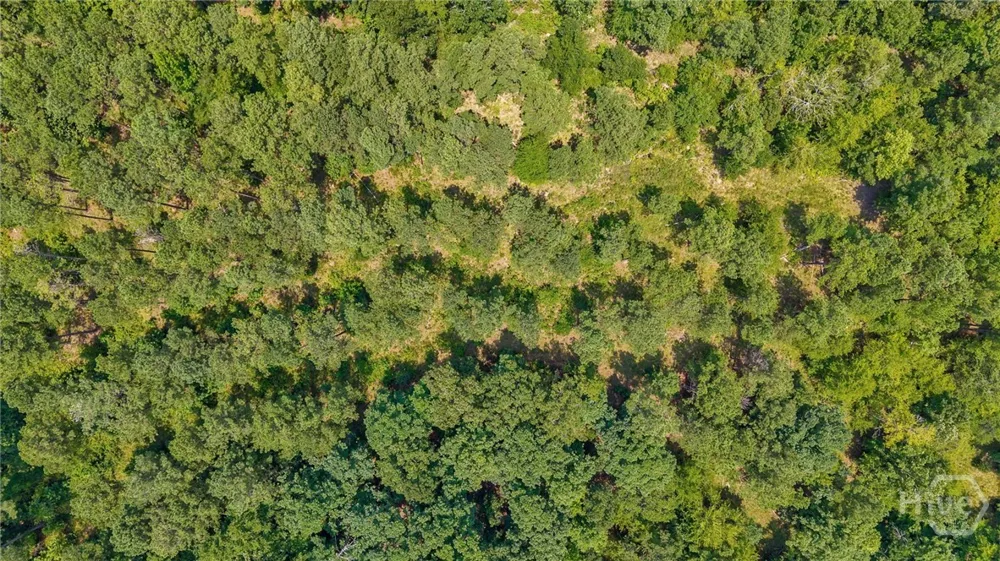 Jabez Poyner Road Carlton, GA 30627