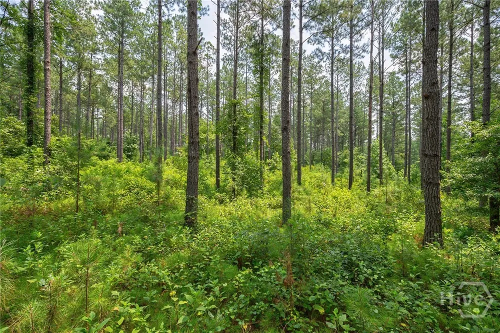 Jabez Poyner Road Carlton, GA 30627