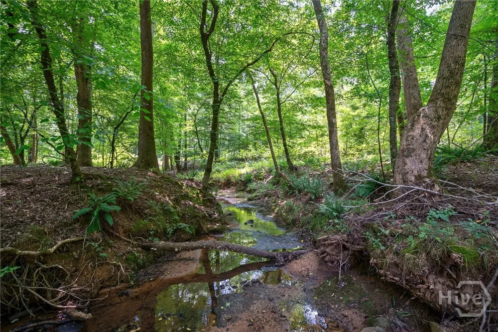 Jabez Poyner Road Carlton, GA 30627