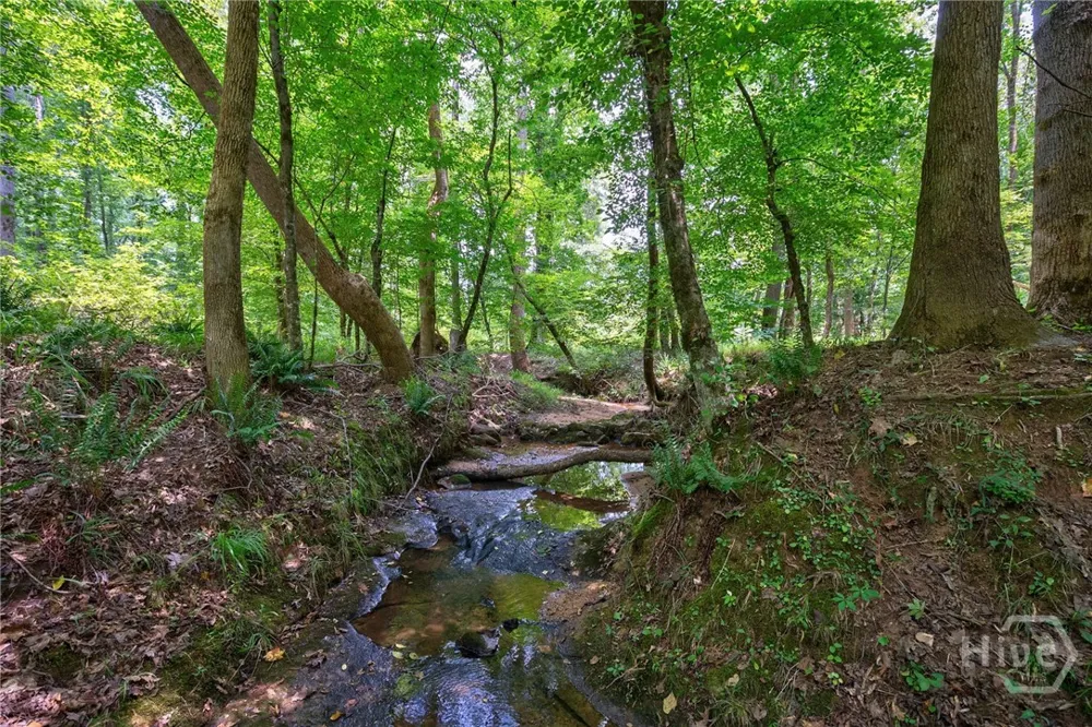 Jabez Poyner Road Carlton, GA 30627