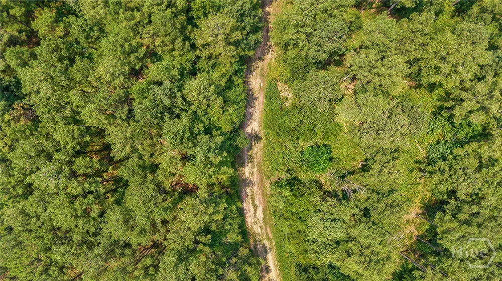 Jabez Poyner Road Carlton, GA 30627