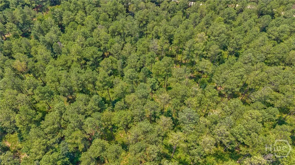Jabez Poyner Road Carlton, GA 30627