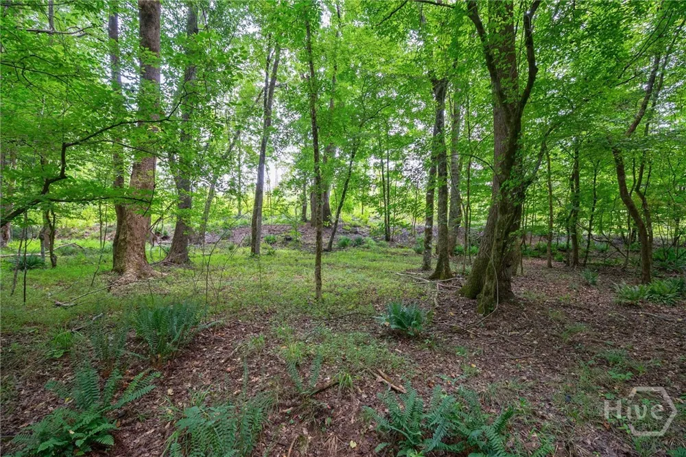 Jabez Poyner Road Carlton, GA 30627