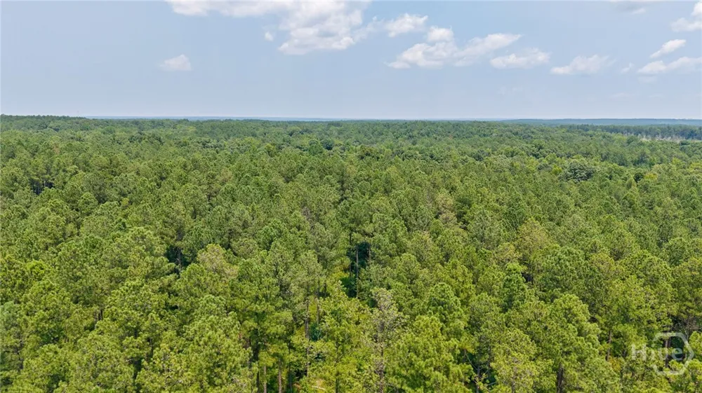 Jabez Poyner Road Carlton, GA 30627