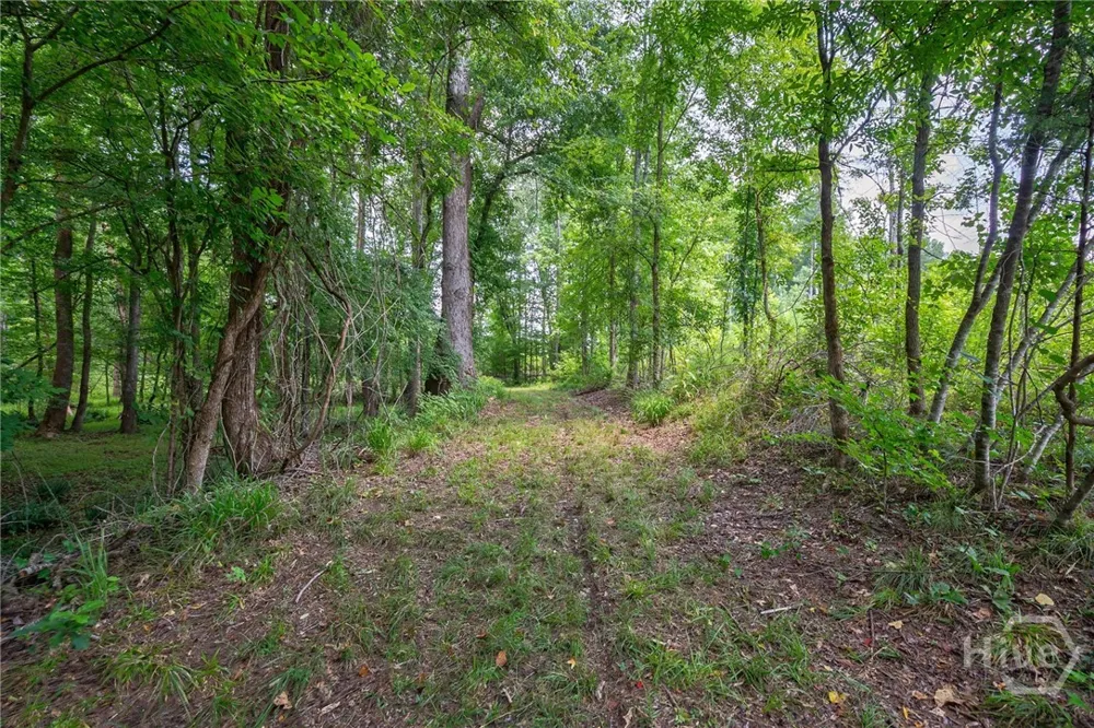 Jabez Poyner Road Carlton, GA 30627