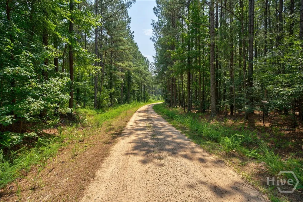 Jabez Poyner Road Carlton, GA 30627