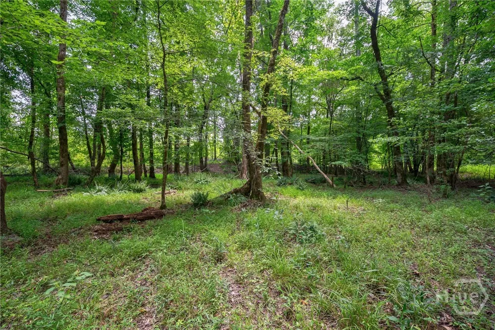 Jabez Poyner Road Carlton, GA 30627